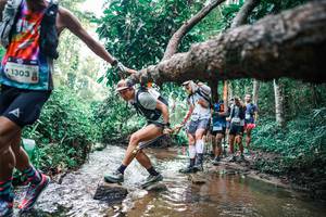 BIB: 
                            <button type="button" onclick="openModal(25371899)" class="btn btn-primary btn-sm float-right btn-popup" data-toggle="modal" data-target=".modal-high-quality">
                        <i class="fas fa-shopping-cart"></i> Add to Cart
                    </button>
                                            <button type="button" onclick="isThisMe(25371899, true)" class="btn btn-success btn-sm float-right btn-popup btn-isme hidden" data-toggle="tooltip" data-placement="bottom" title="นี่คือรูปของคุณใช่ไหม คลิกที่นี่เพื่อเอาเข้าอัลบั้ม">
                        <i class="fas fa-plus"></i> Add to album
                    </button>
                    <button type="button" onclick="isThisMe(25371899, false)" class="btn btn-warning btn-sm float-right btn-popup btn-isnotme hidden">
                        <i class="fas fa-ban"></i> Remove from album
                    </button>